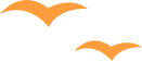 layer-4.png