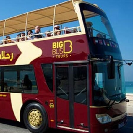 Big Bus Tour