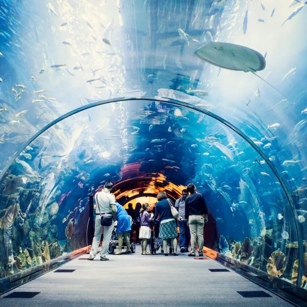 Dubai Mall Aquarium