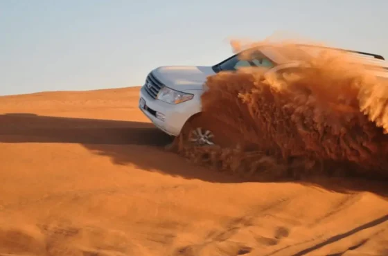 Evening Desert Safari