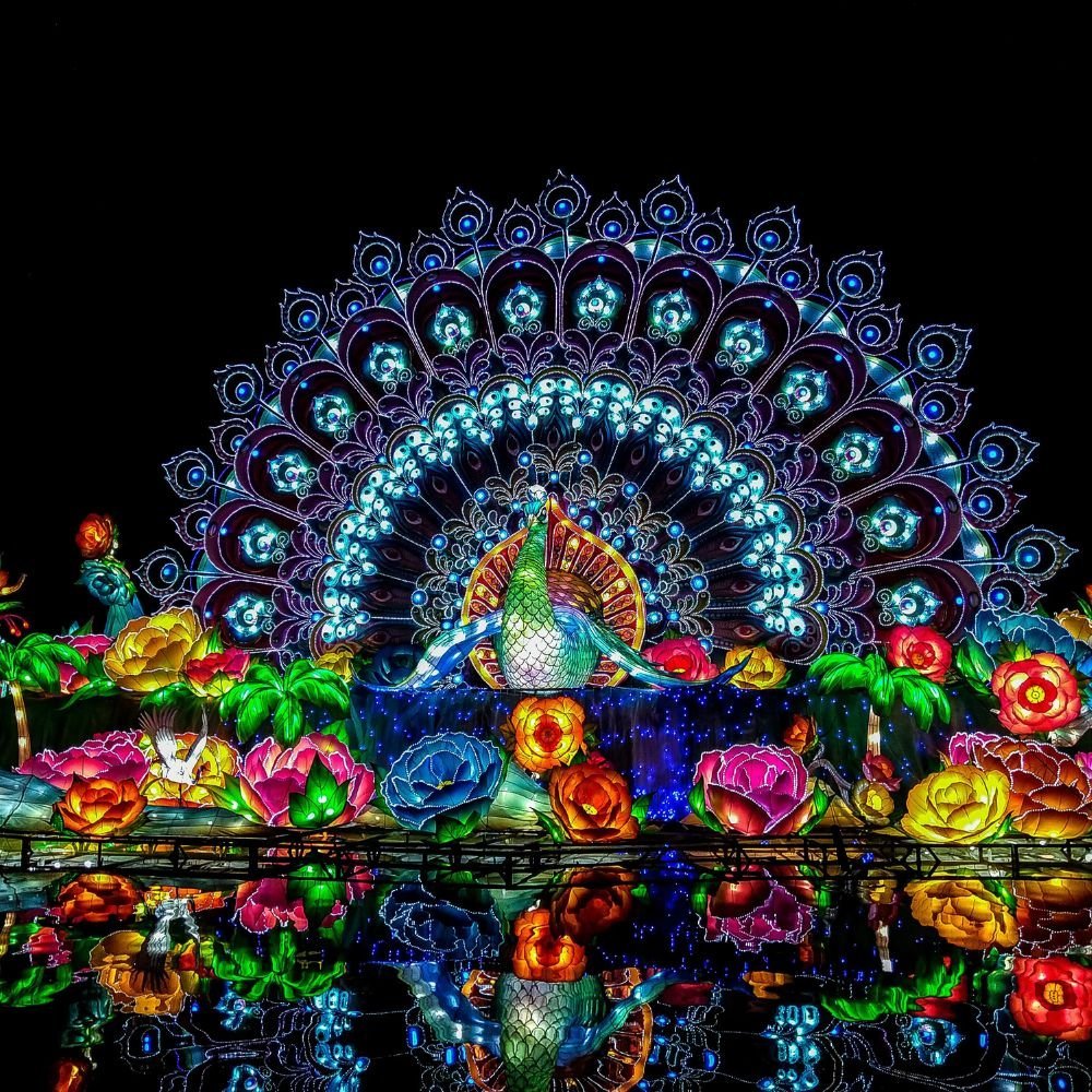 Glow Garden