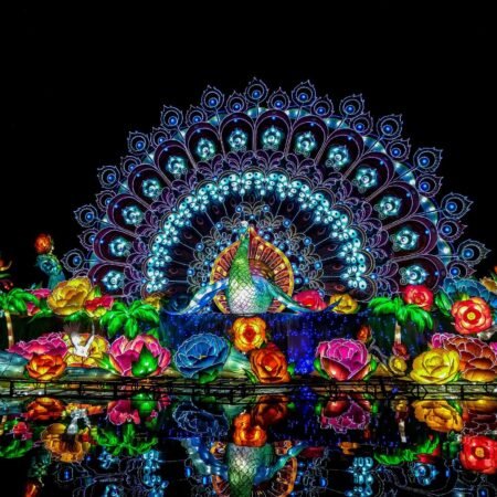 Glow Garden