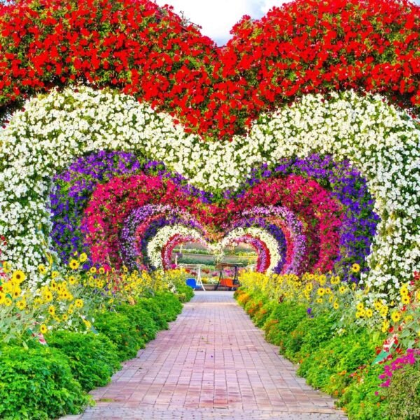 Miracle garden 1