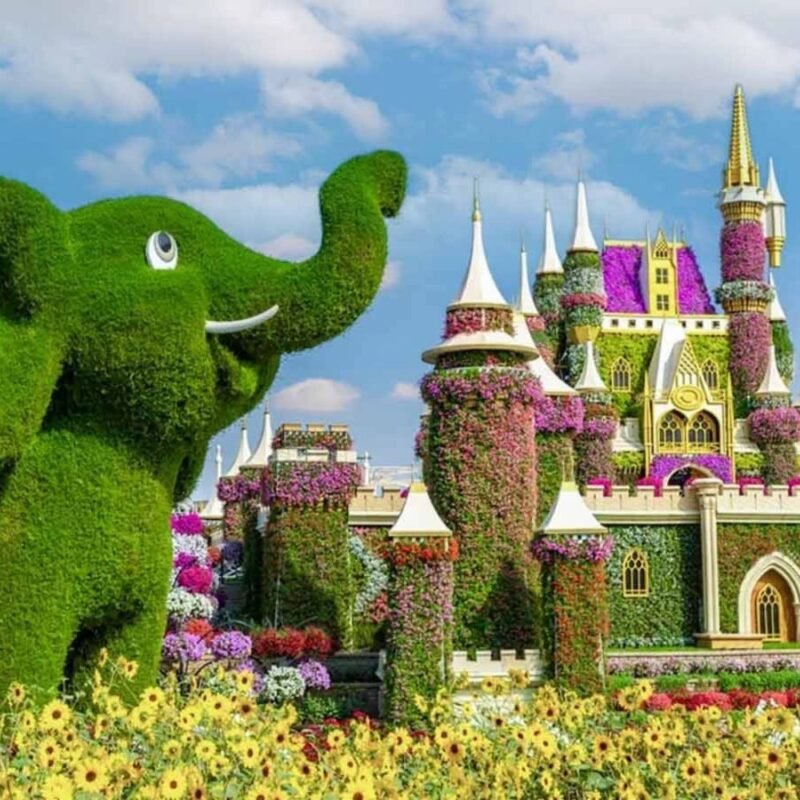 Miracle garden