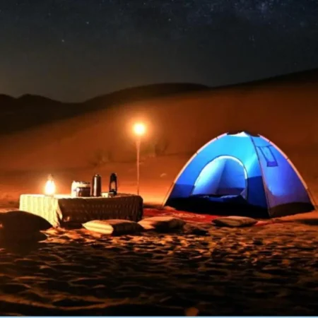 Overnight Safari