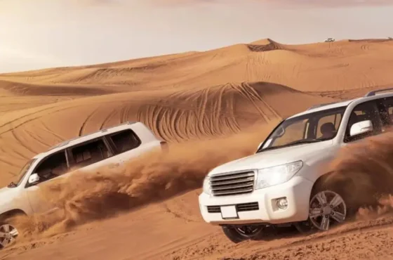 Premium Desert Safari