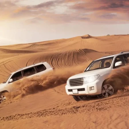 Premium Desert Safari