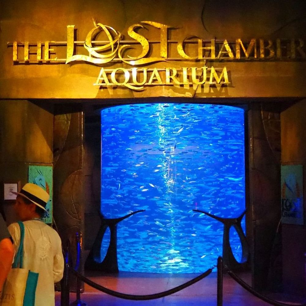 lost Chambers Aquarium