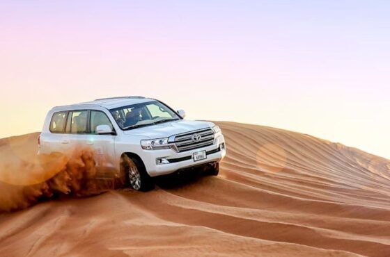 Morning Desert Safari