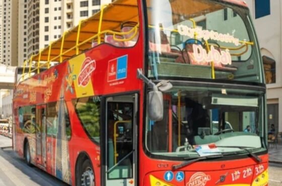 Hop on Hop off Tours