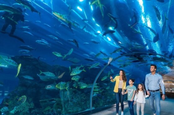 Dubai Mall Aquarium