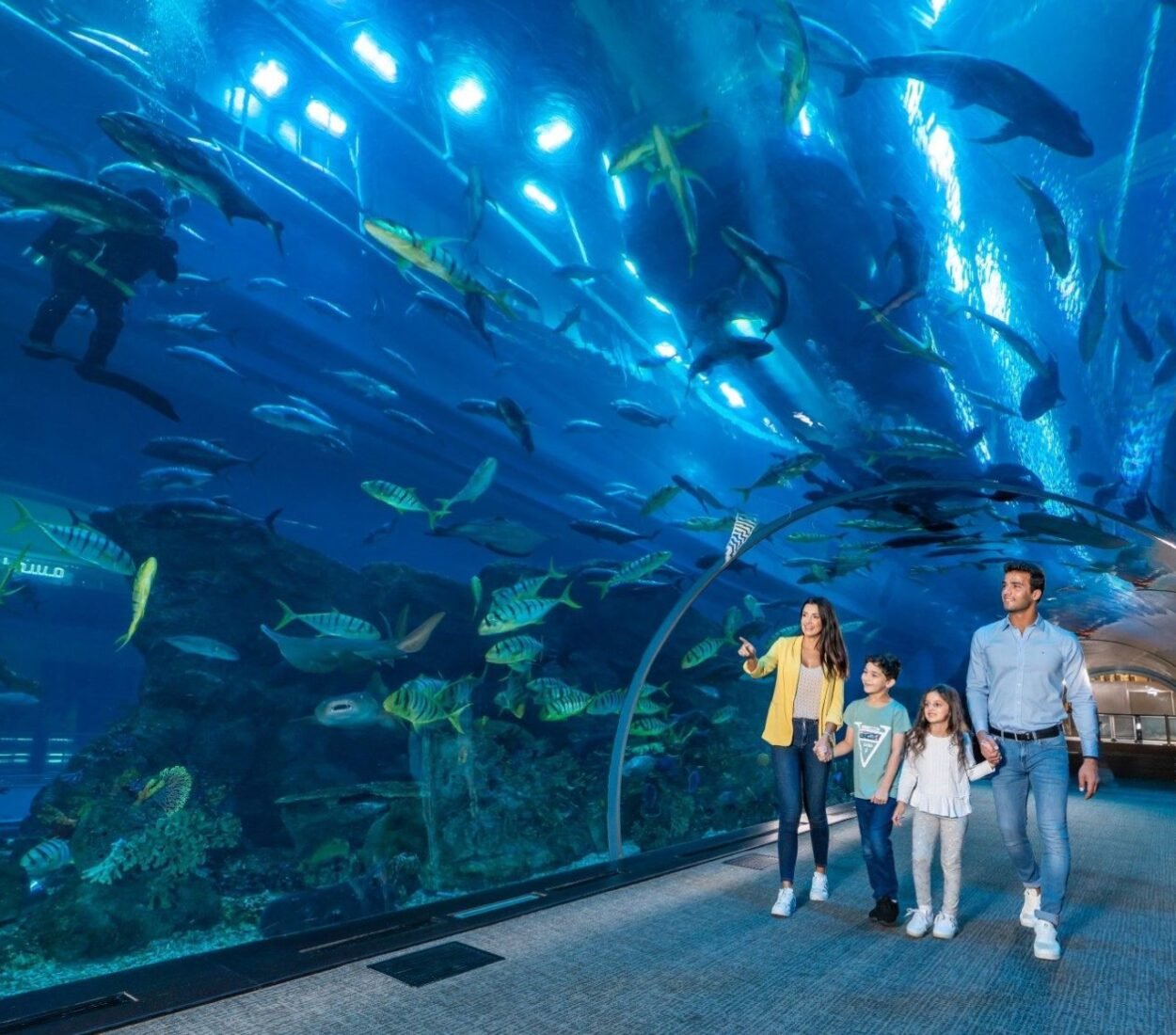 Dubai Aquarium and Underwater Zoo