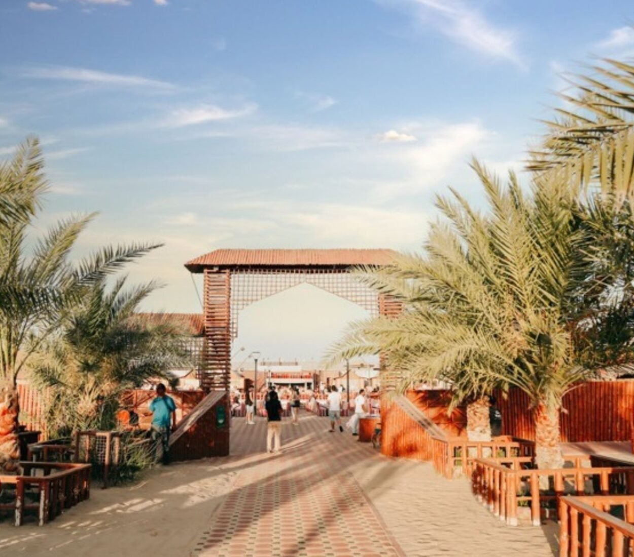 Evening Desert Safari Tours