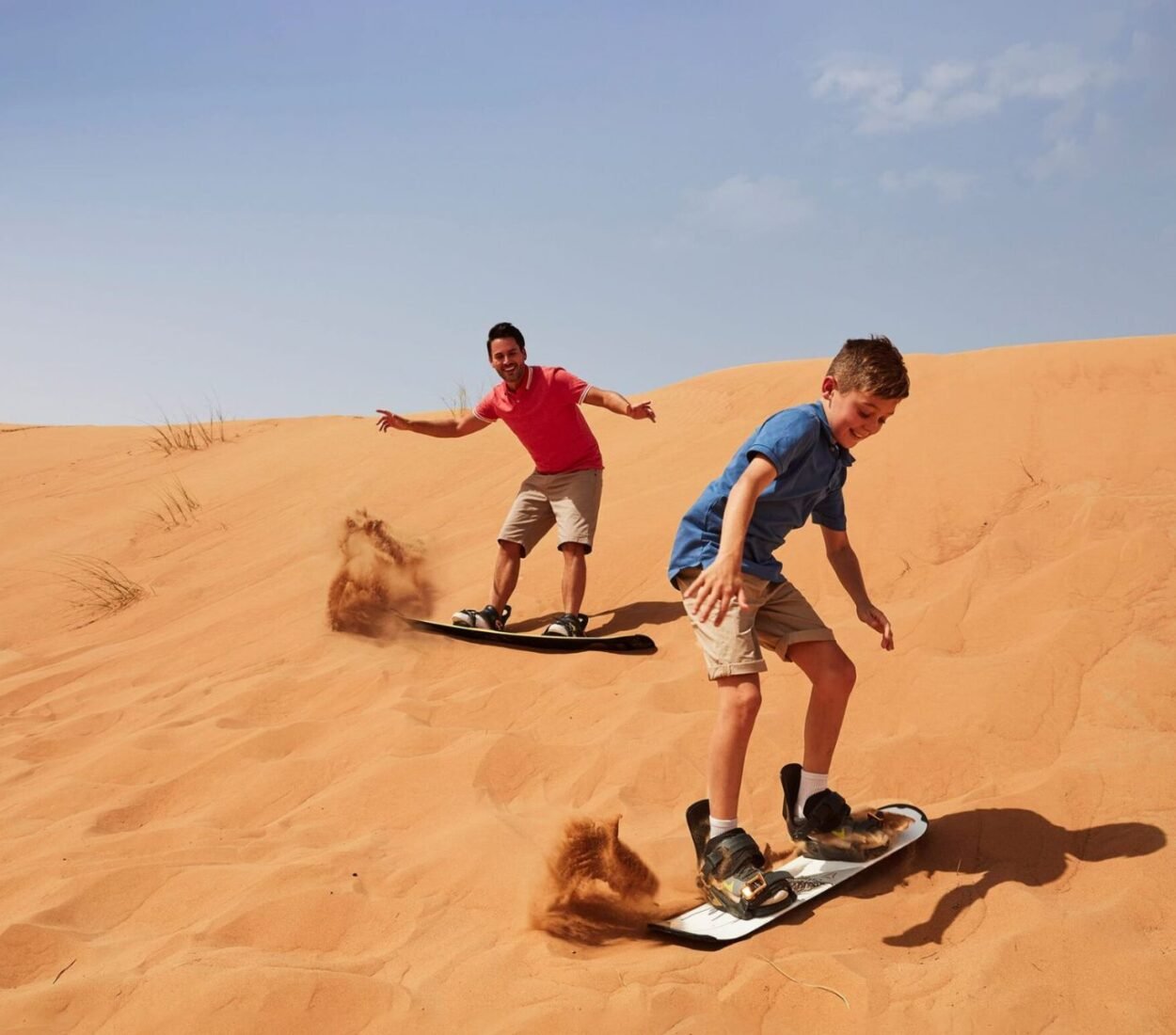 Morning Desert Safari Tours