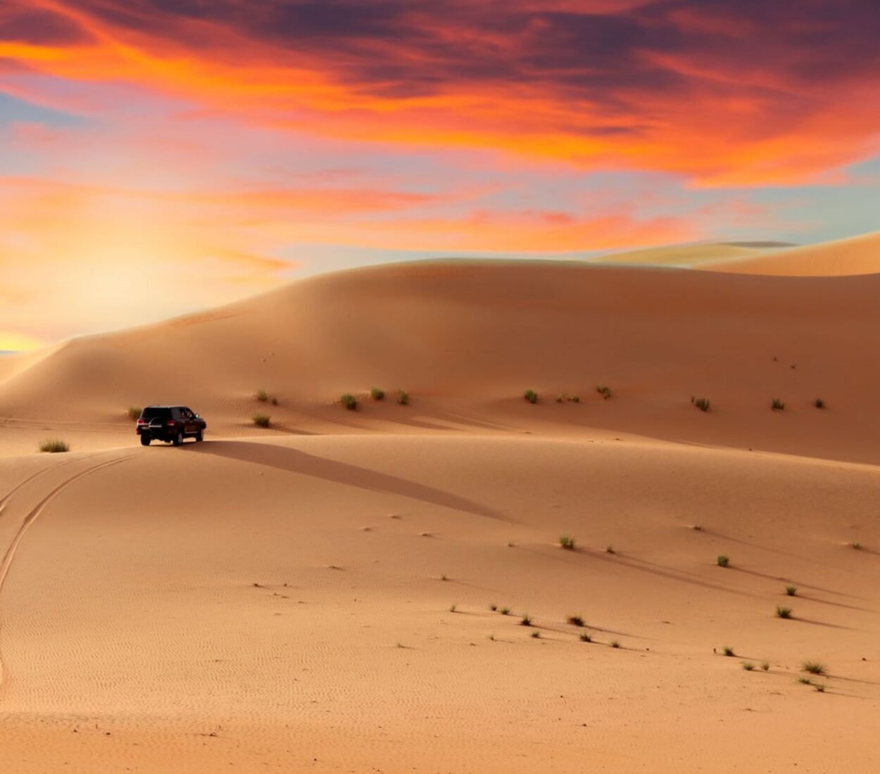 Sunrise Desert Safari Tour