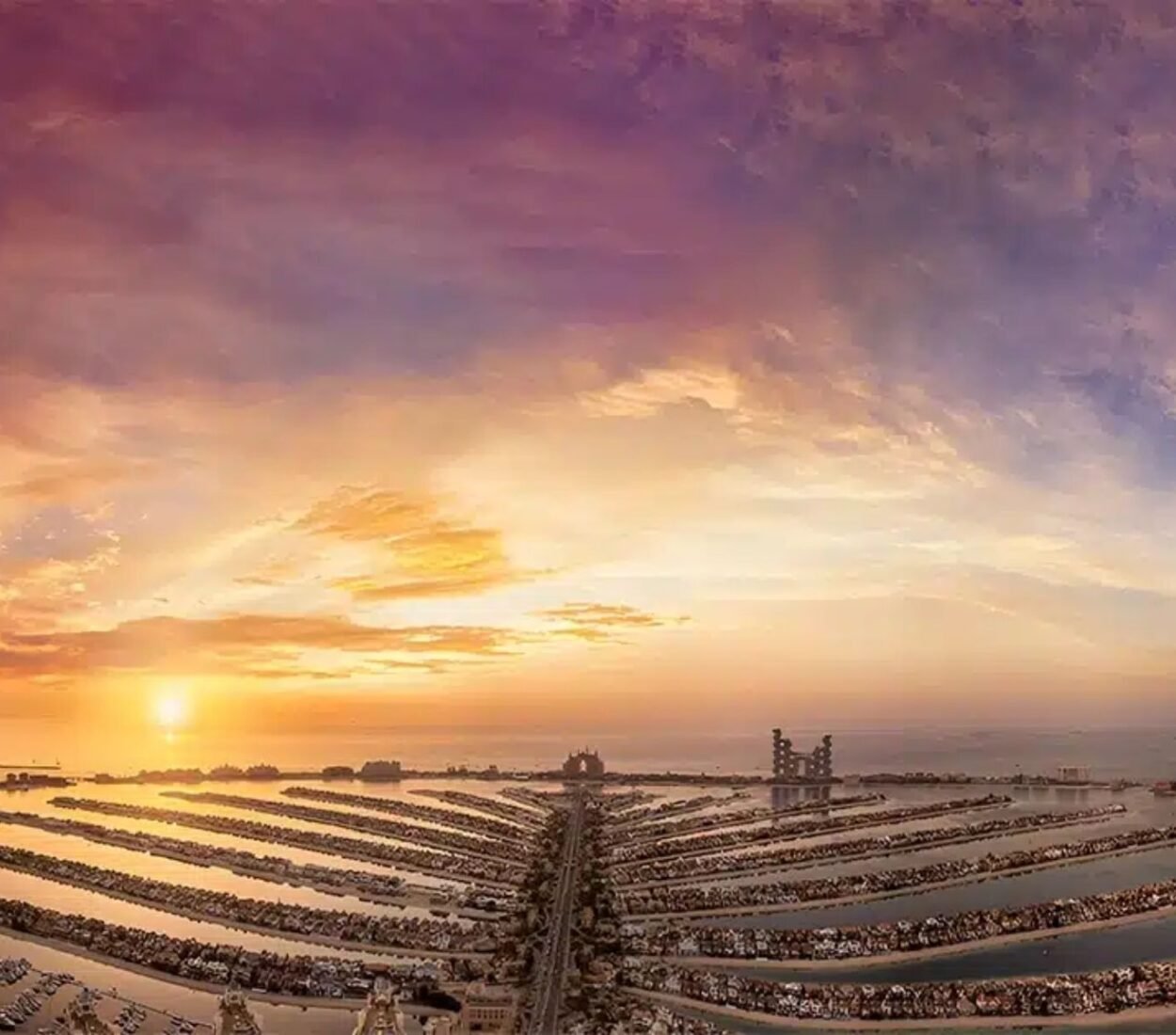 The View at the Palm Tickets